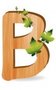 B