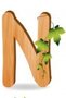 N