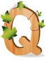 Q
