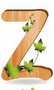 Z